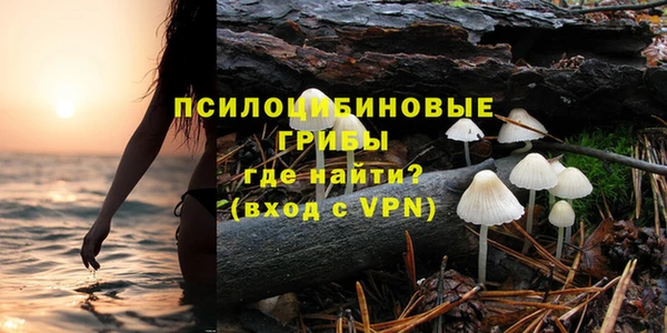 гидра Зеленокумск