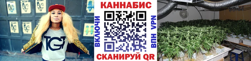Канабис марихуана Сосенский